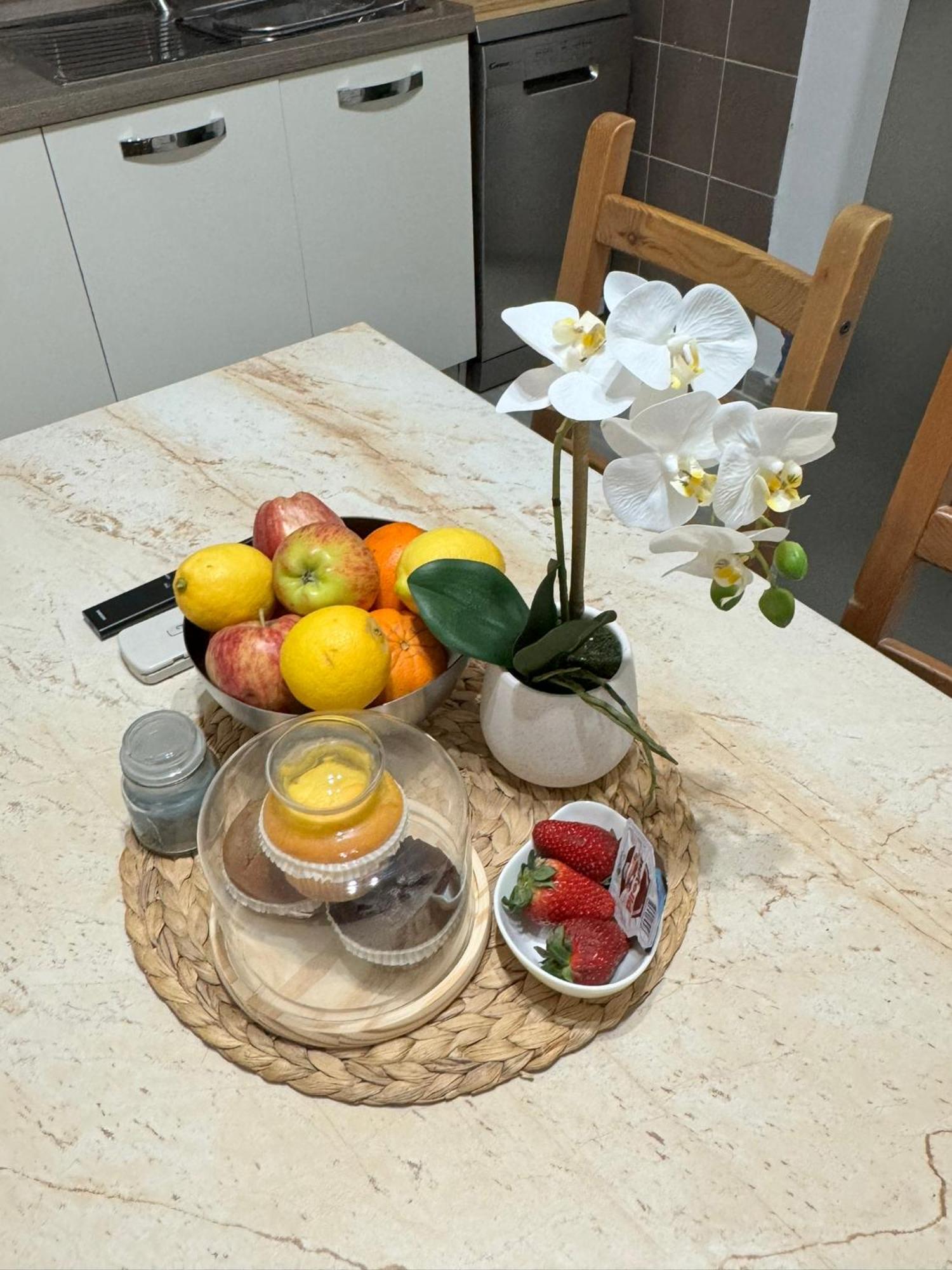 Gemma Suites Whole Apartment Bolonya Dış mekan fotoğraf