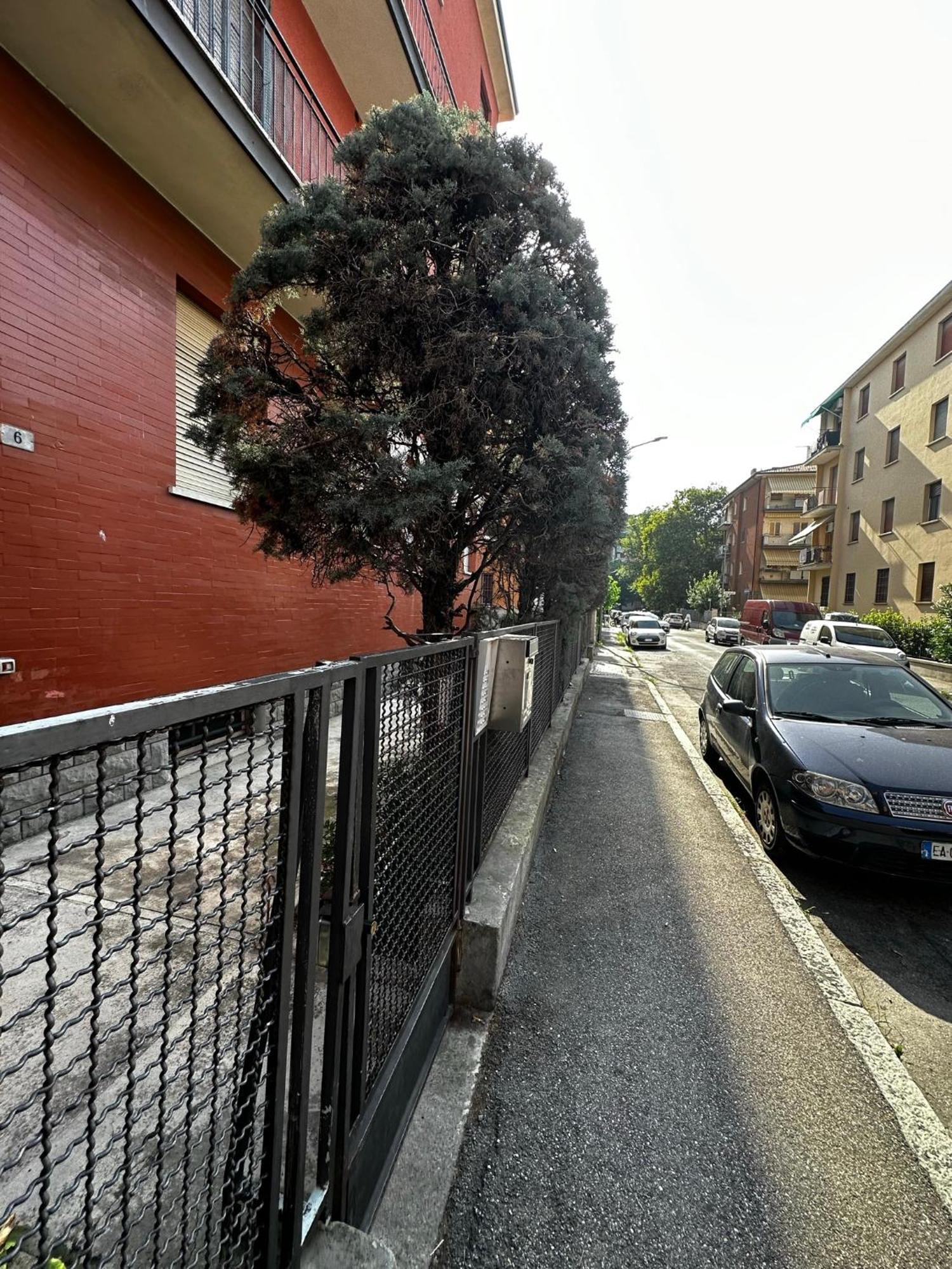 Gemma Suites Whole Apartment Bolonya Dış mekan fotoğraf